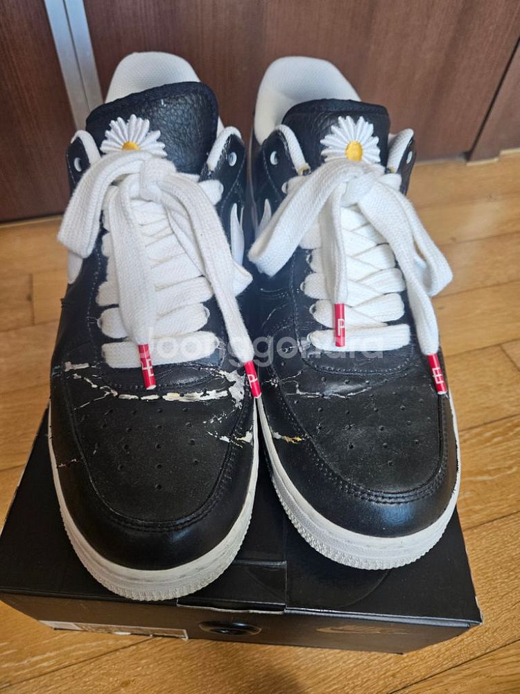 (290) 피마원 1.0 OG--1