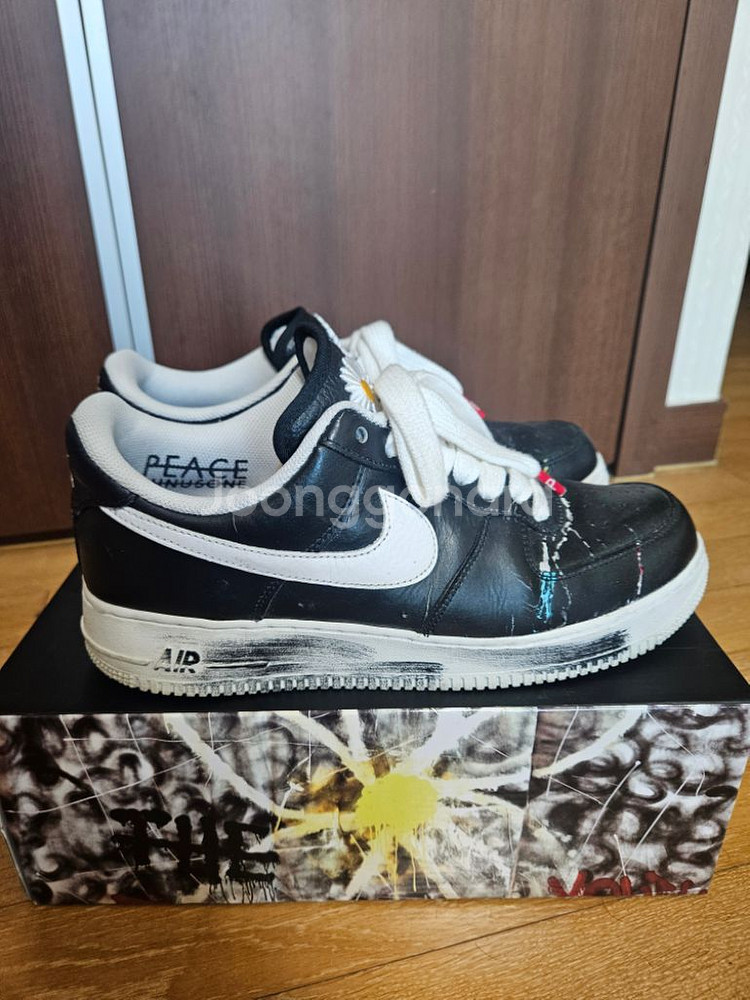 (290) 피마원 1.0 OG--4