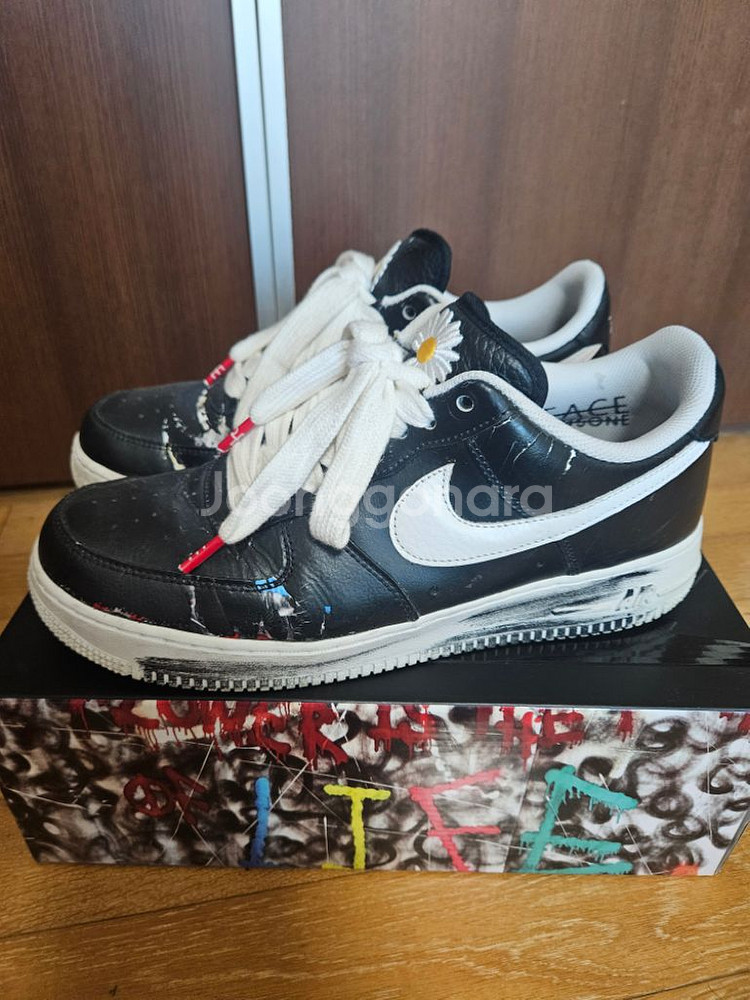 (290) 피마원 1.0 OG--2