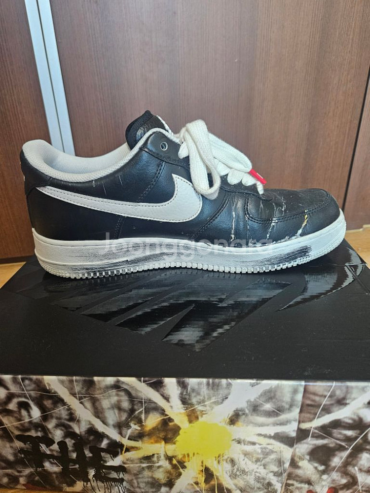 (290) 피마원 1.0 OG--6