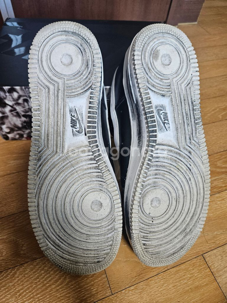 (290) 피마원 1.0 OG--7