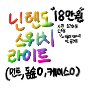 닌텐도 스위치 라이트 ss급, 모동숲 칩, 케이스