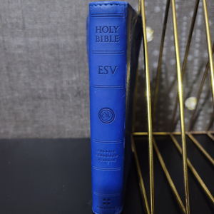 Holy Bible 영어성경