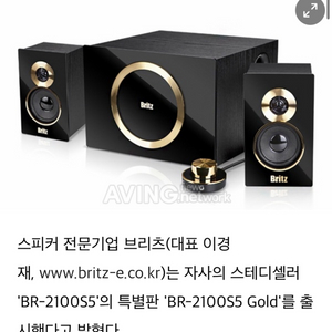 브리츠 BR-2100s5 Gold(특별한정판) 스피커