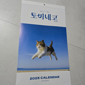 2025년 달력 날으는고양이 토비네코