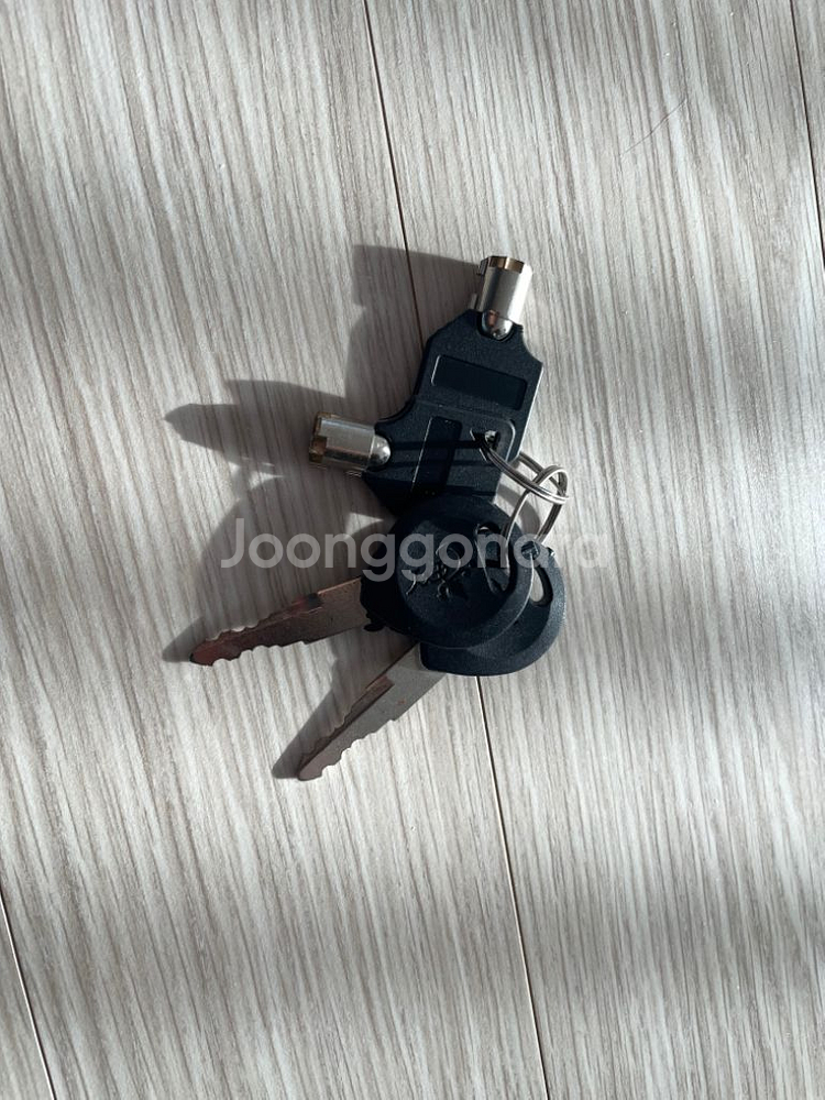 전동킥보드 유로휠 10FE 800R--5