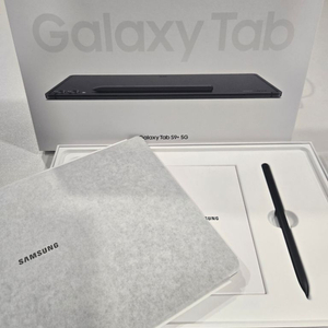 갤럭시탭 S9+ 5G 256g