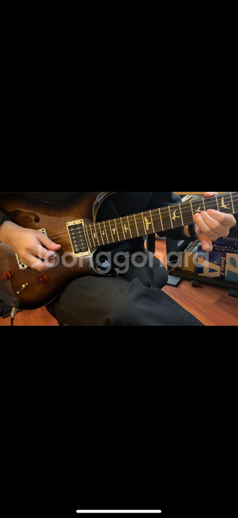PRS SE CU22 Simi Hollow 썬버스트--1