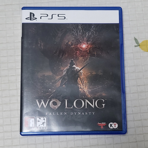 ps5 와룡