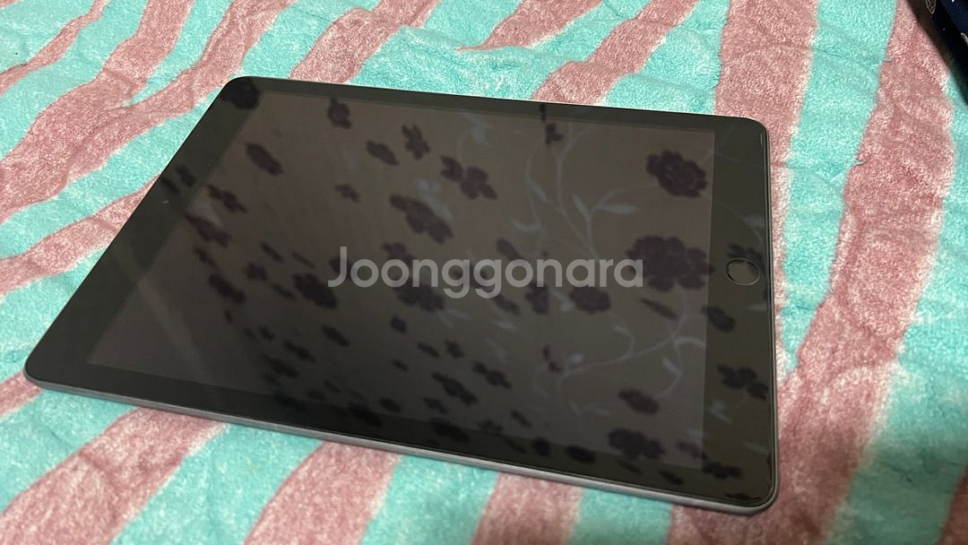 아이패드 5세대 9.7인치 128GB Wi-Fi--2