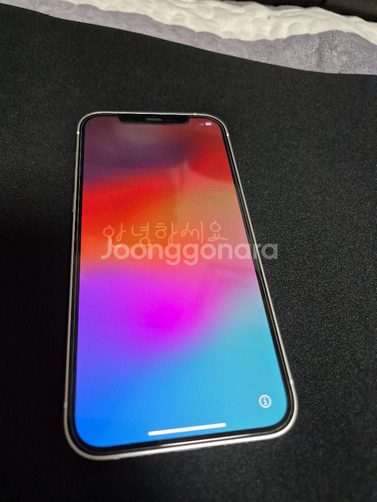 아이폰 12 256G--3