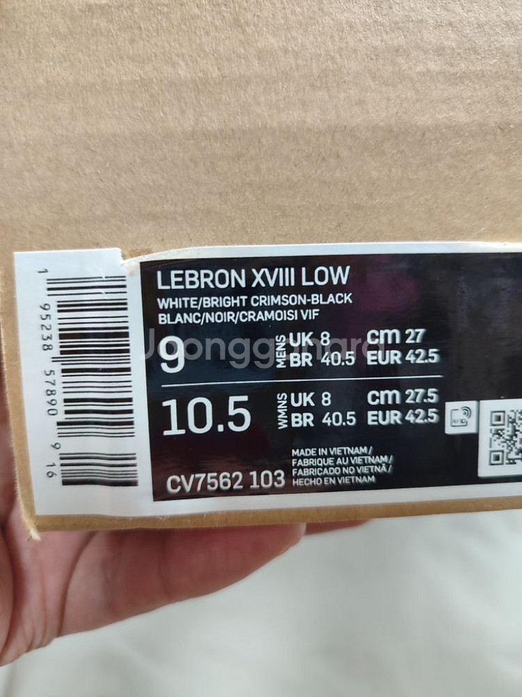 LEBRON XVIII LOW--4