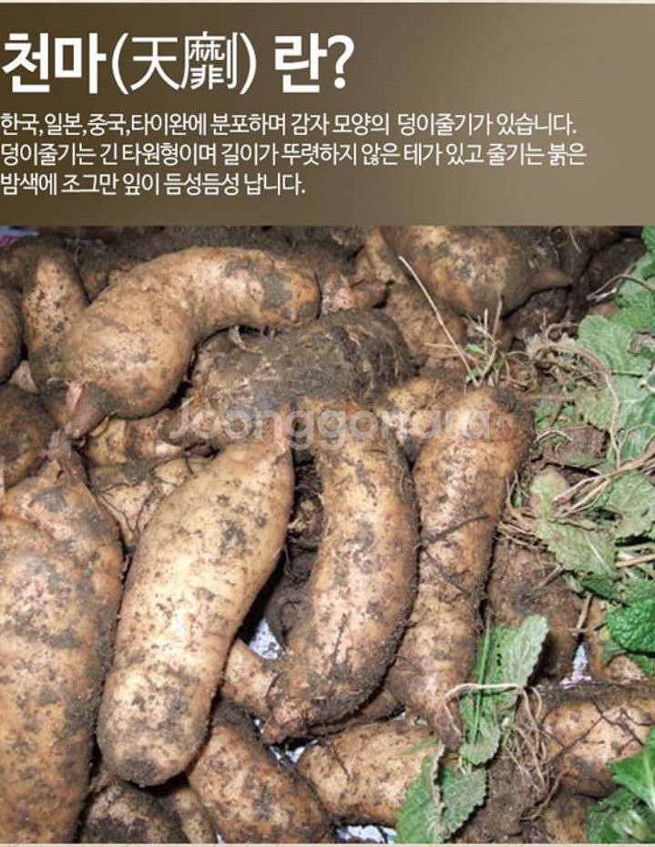 새상품 천마 건강식품--2