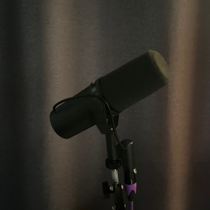 슈어 Shure SM7B 마이크