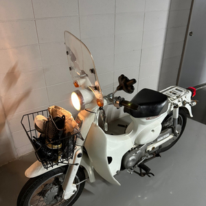 혼다 리틀커브50cc