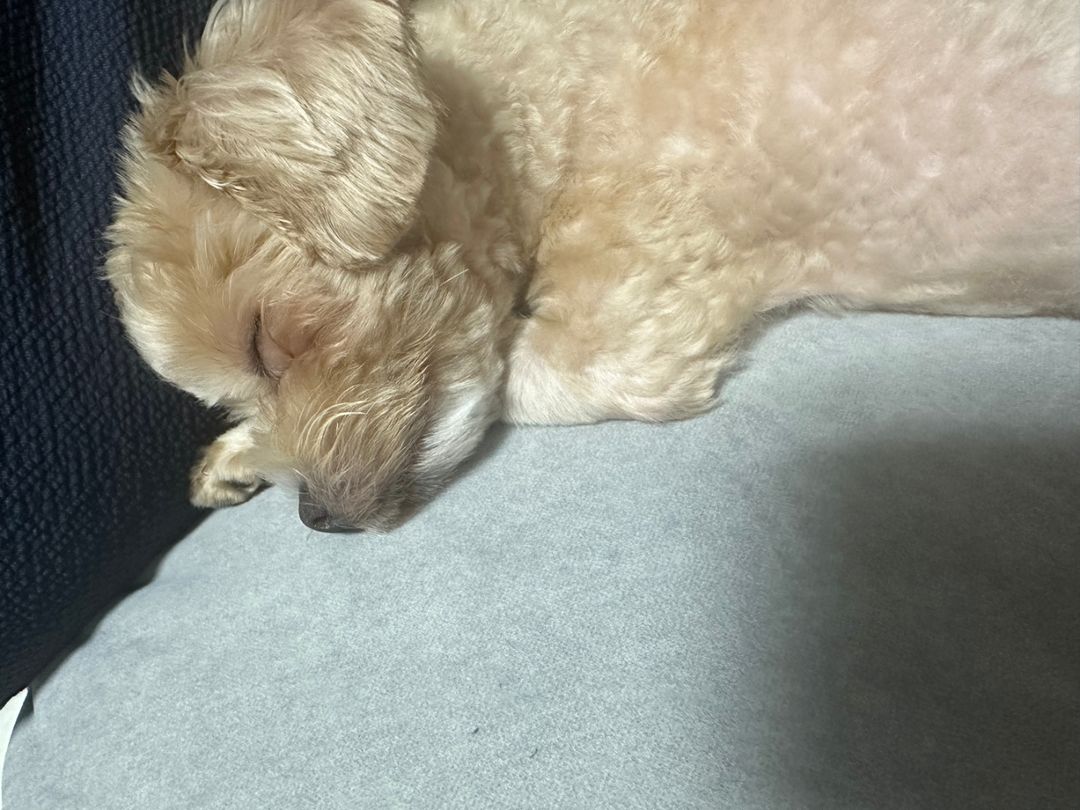 프로파일