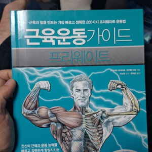 코어운동가이드 프리웨이트