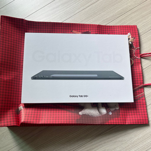 갤럭시 탭 S10+ 256GB 문스톤그레이 미개봉