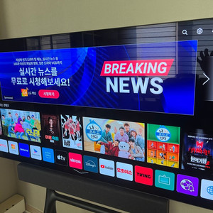 LG 올레드 48인치(OLED48CXKNB)