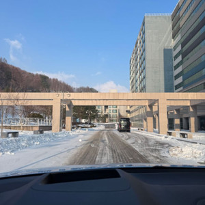휘닉스파크 호텔 프리미엄 주차권