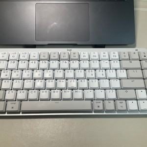 MX mechanical mini for mac