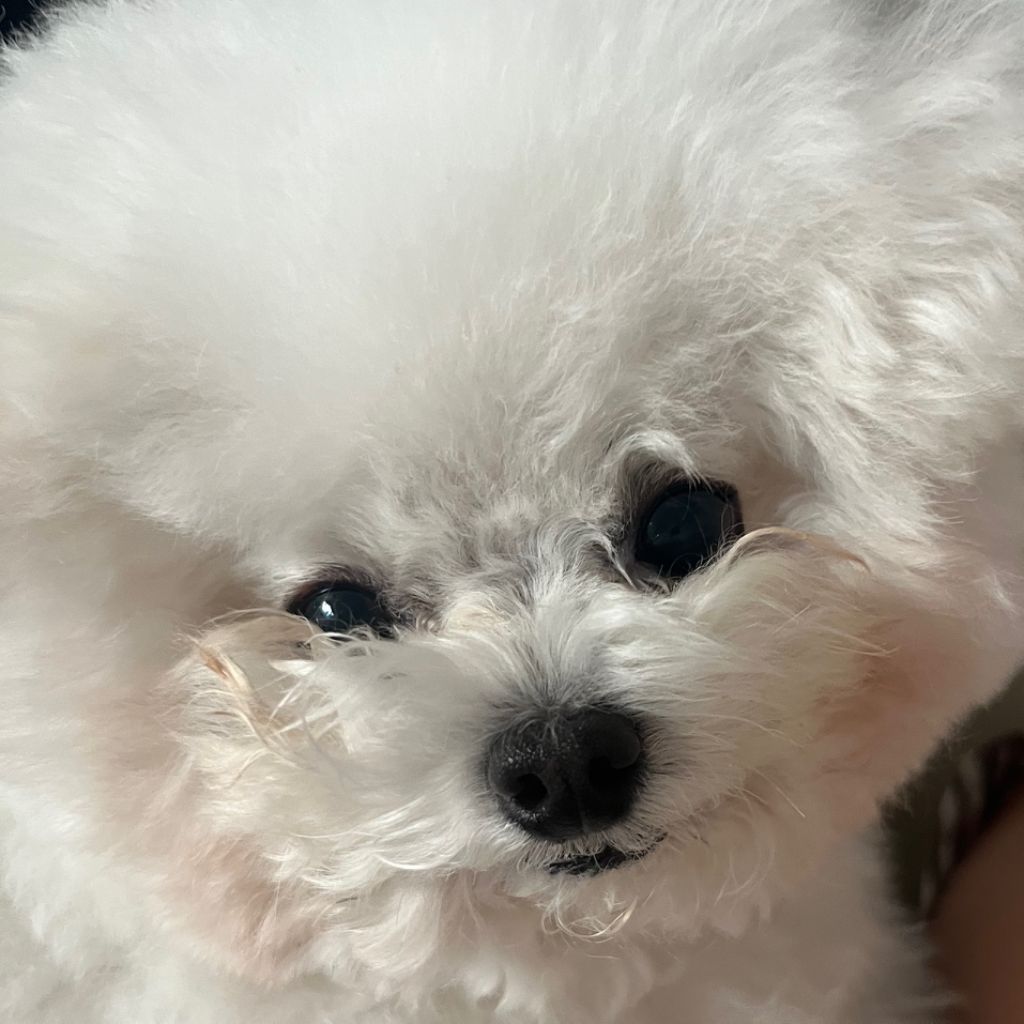 프로파일
