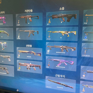 발로란트 초월자1 스킨 120개