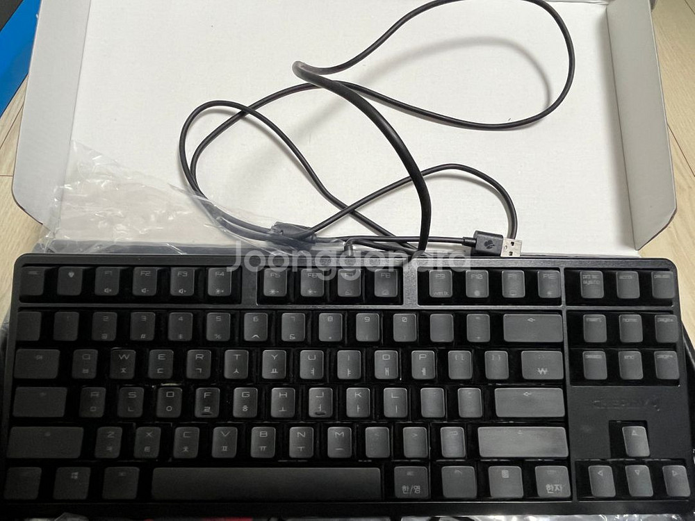 체리 mx3831 청축 키보드--2
