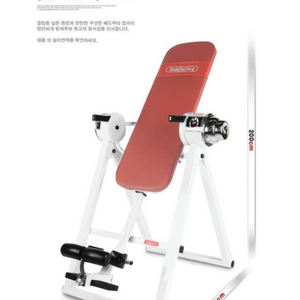 바디팩토리 가정용 최상품 거꾸리 새거 팝니다(보증서있음