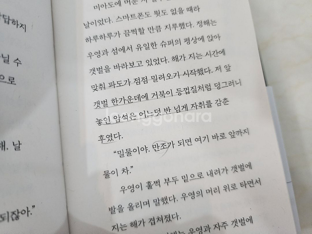 조예은) 만조를기다리며, 입속지느러미, 적산가옥--6