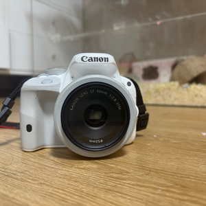 캐논 eos 100d 화이트+렌즈