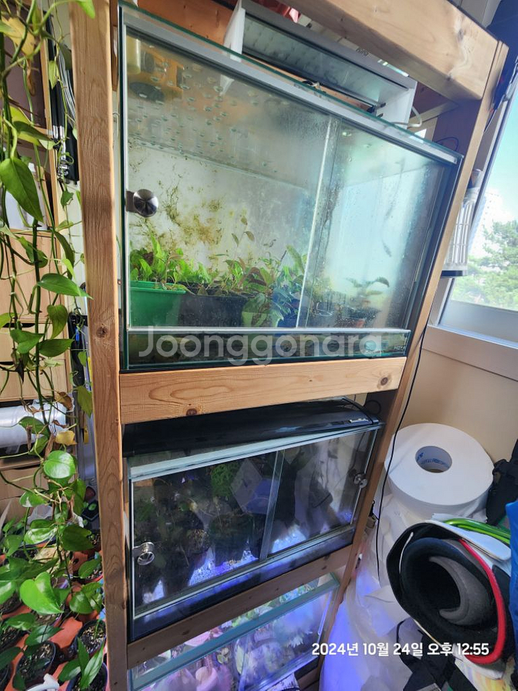 (세종)원목축양장 3단--5