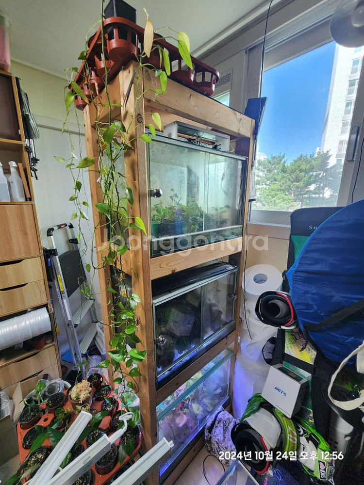 (세종)원목축양장 3단--3