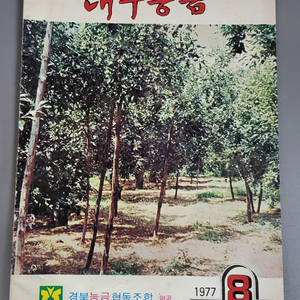 1977년 월간 대구능금 8월호