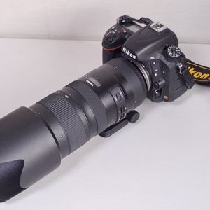 니콘D750 탐론70-200 F2.8 USD G2