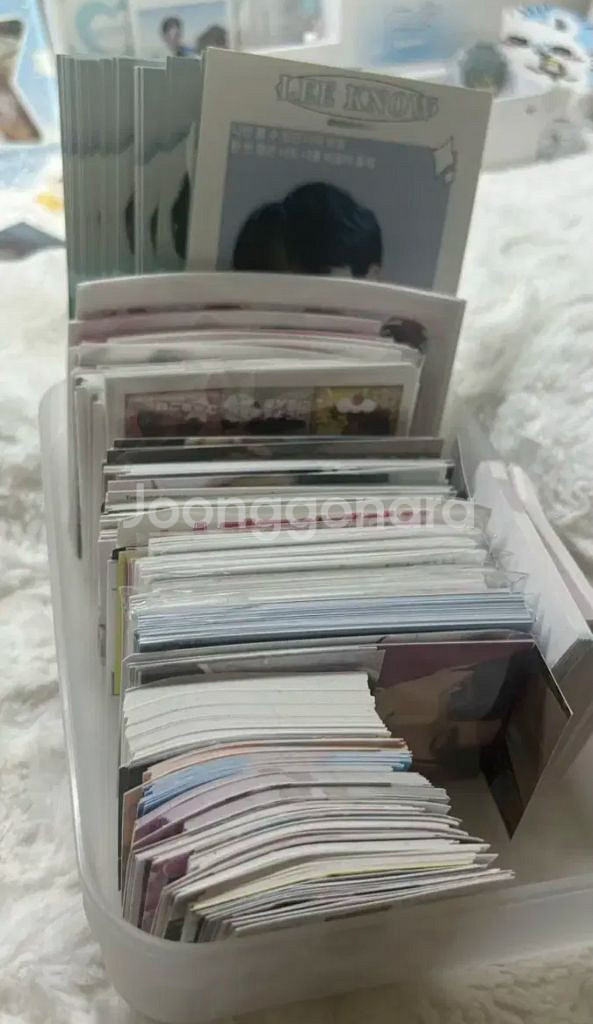 스트레이키즈 포카 일괄 양도--1