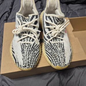 아디다스 Yeezy Boost 350 Zebra 250