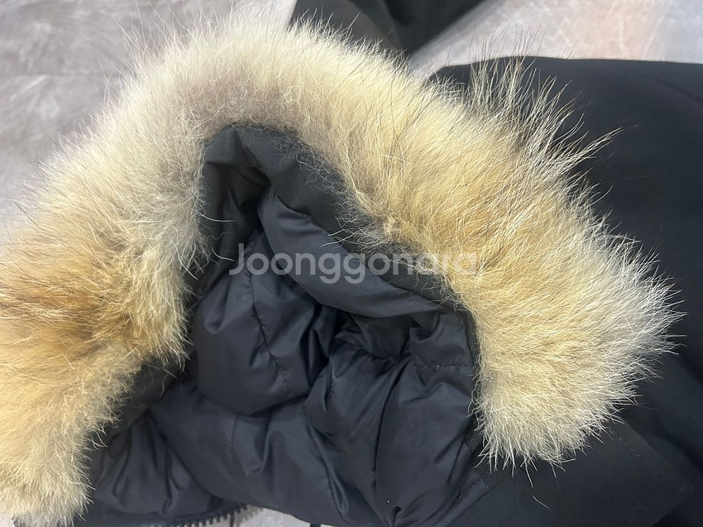 캐나다구스 칠리왁 봄버--2