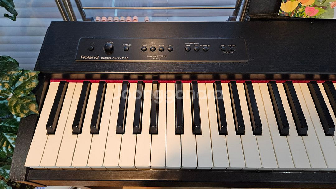 ROLAND 디지털 피아노 F-20 판매합니다.--3