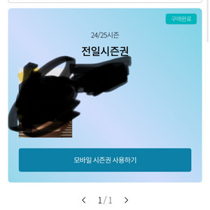 곤지암 전일시즌권 팝니다