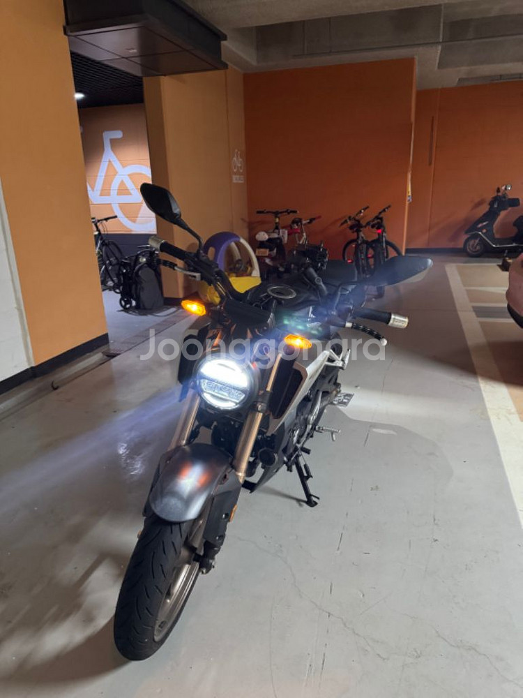 cb125r 팝니다--1