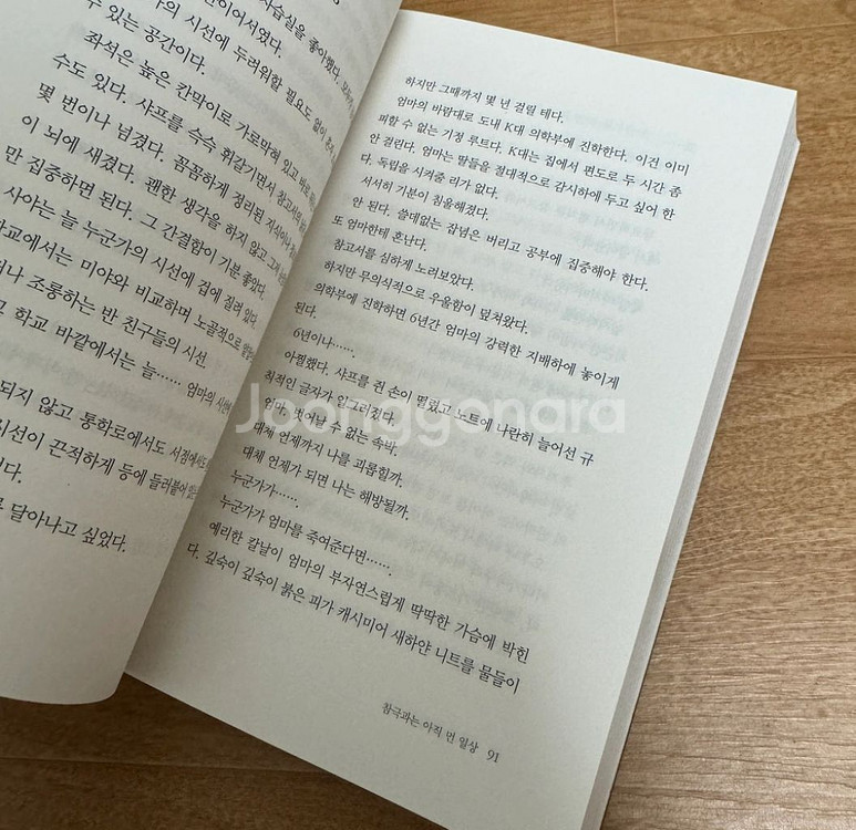 인형 집의 참극 추리 미스터리 도서 책--1