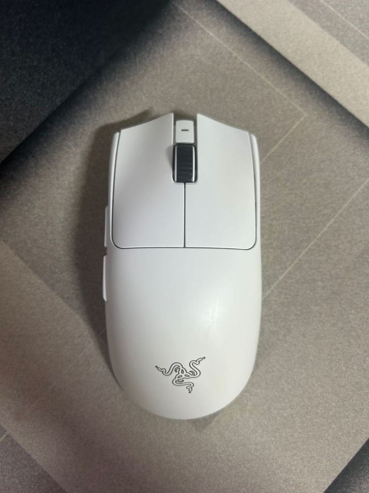 바이퍼 v3 pro 바브삼 화이트 + 실버폭스 판매--4