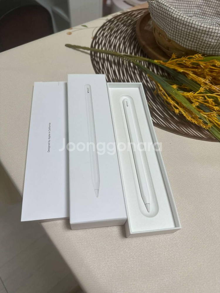IPAD MINI 6세대 스그 64GB WIFI+애플--1
