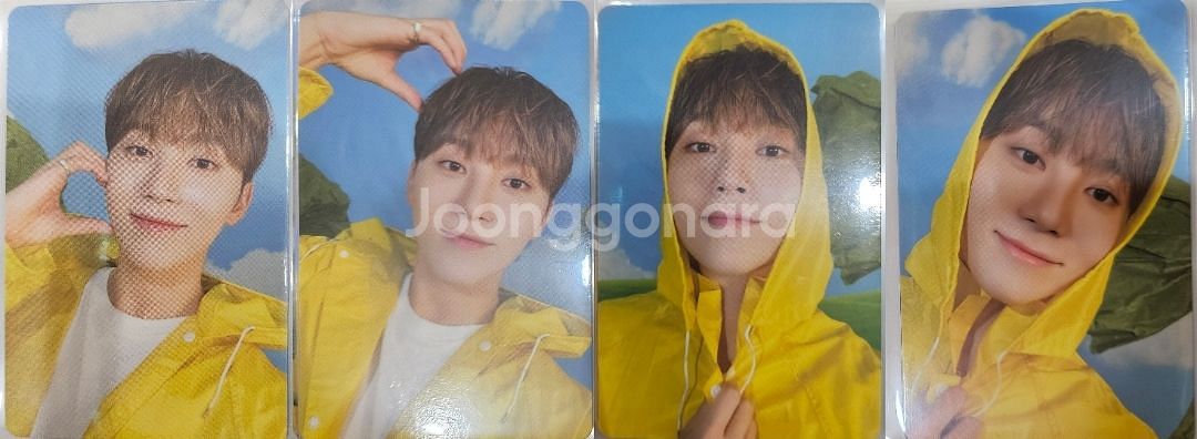 음악의 신 부승관 캐럿반 개봉 앨범 포카 드볼 양도--1