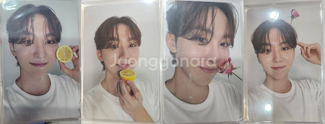 마에스트로 부승관 디어버전 캐럿반 포카 드볼 일괄--1