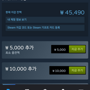 스팀 월렛 45000원 75%로 팝니다