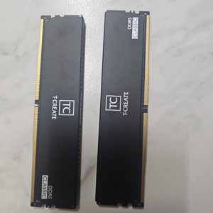 팀그룹 ddr5 32g 5600 cl46 (64g)