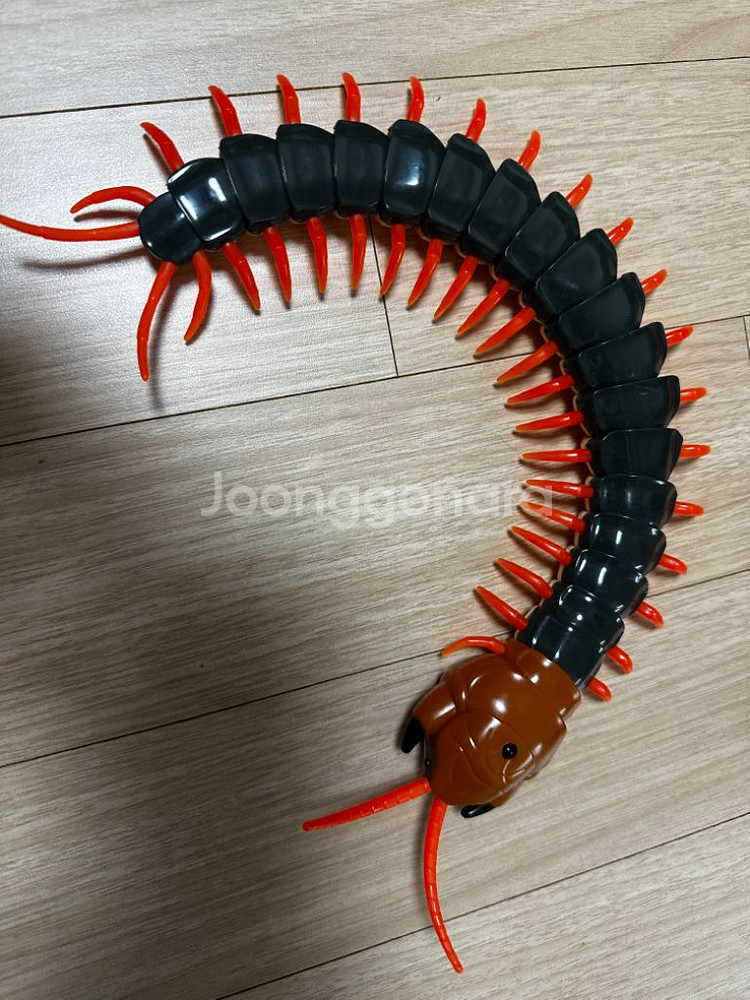 곤충백과 곤충RC 등 장난감과 책 일괄--4