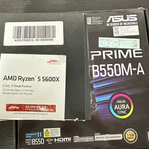 5600x asus b550m prime a 팔라딘